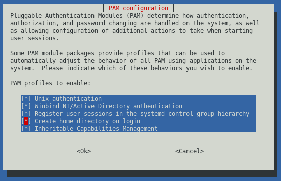 pam-auth-update screenshot